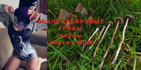 дурь Абдулино