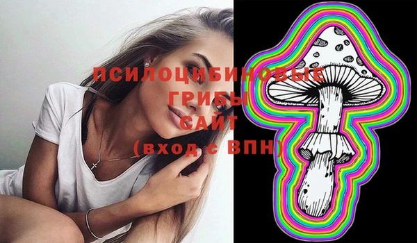 ECSTASY Алзамай