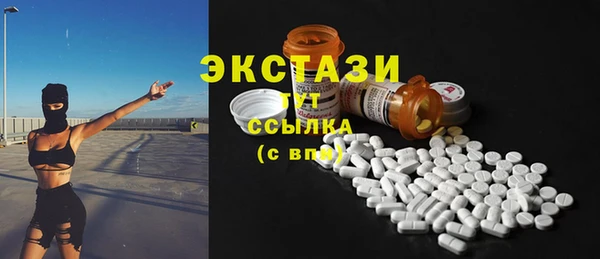 ECSTASY Алзамай