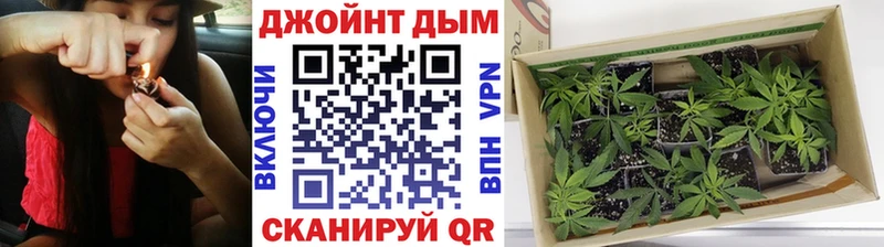 Бошки марихуана Bruce Banner  Нестеров 